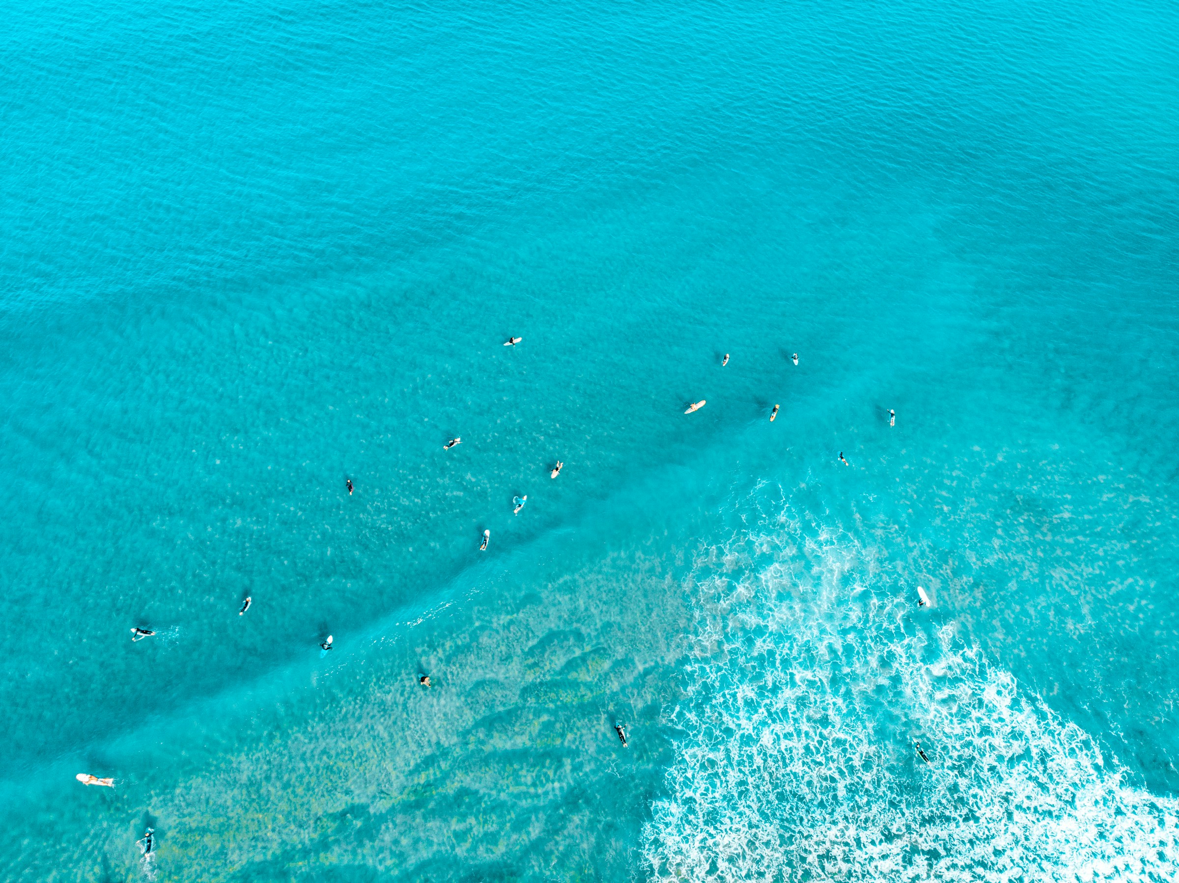 Aerial view of surfers in ocean water